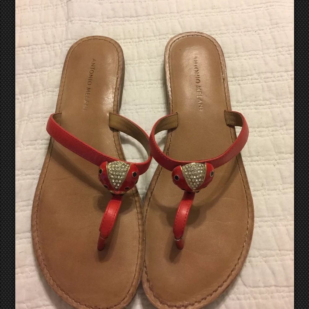 Antonio Melani lady bug flip flops size 8